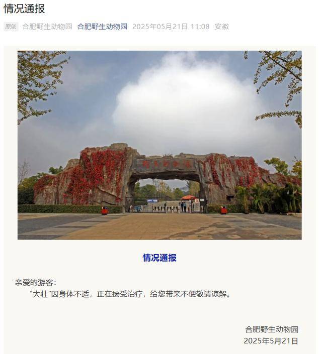 皇冠登3管理出租
_网红猴“大壮”突然离世皇冠登3管理出租
!曾因方脸“丑”出圈