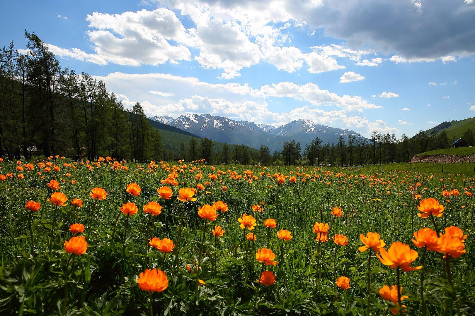 皇冠信用网会员开户
_价值18万元!两人为食用皇冠信用网会员开户
,在新疆阿勒泰垂钓上百尾北极茴鱼 法院判了