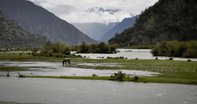 皇冠信用网结算日
_俄罗斯有不祥的预感皇冠信用网结算日
,拉夫罗夫提醒中国要小心,中印关系恐要生变?