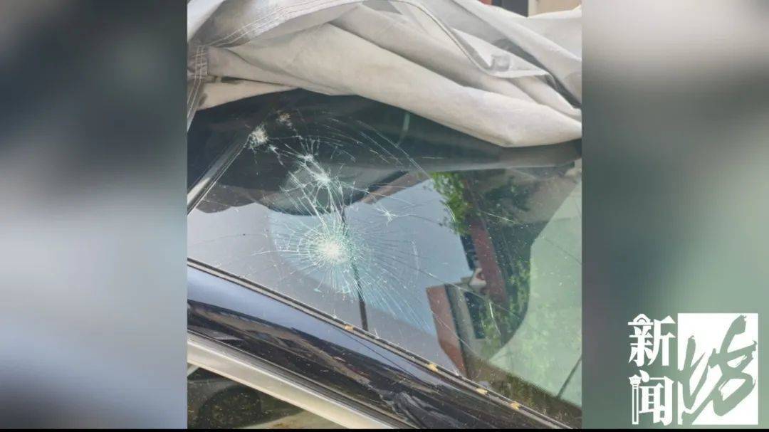 皇冠足球平台代理
_祸从“天”降皇冠足球平台代理
!上海这些居民集体抗议:怎么能这么干?胆也太肥了!