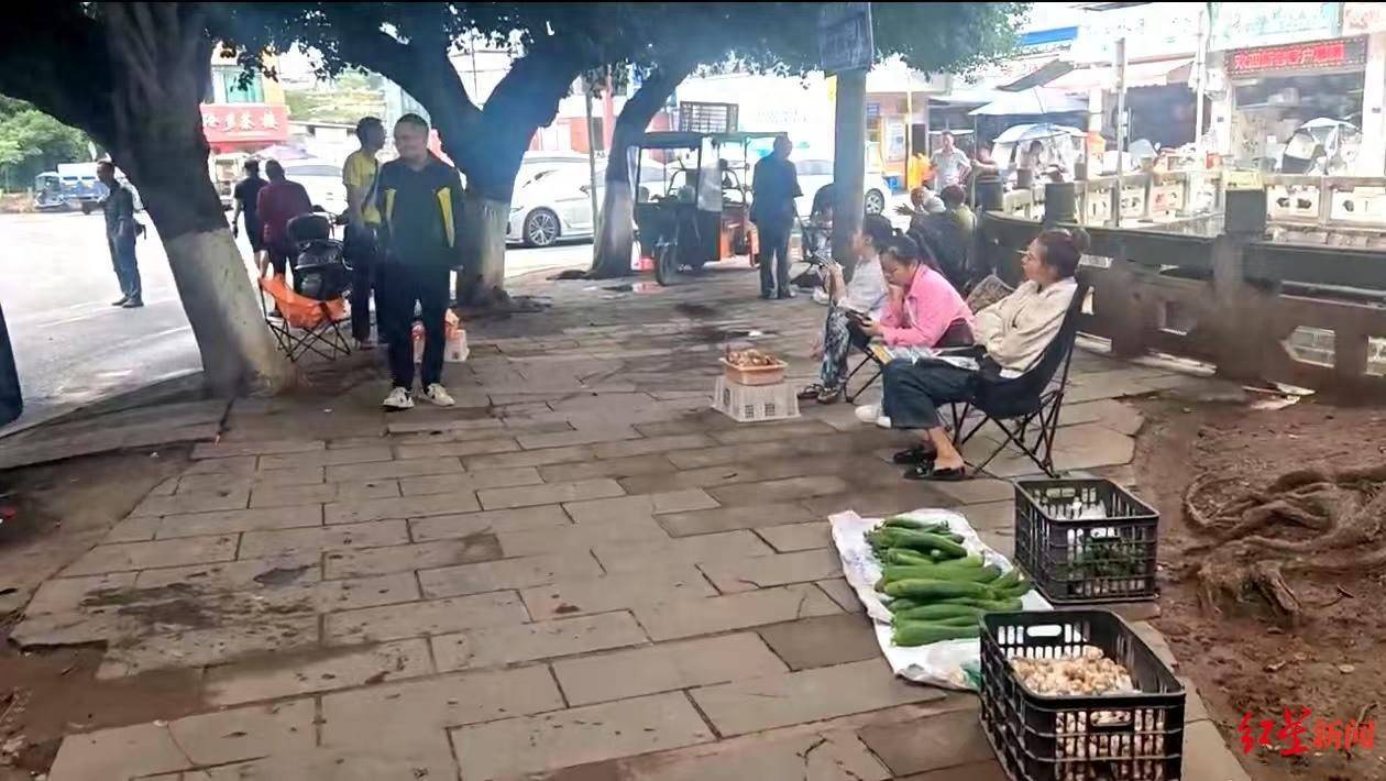 皇冠信用网代理注册_“天价”鸡枞调查：最贵卖到1800元/公斤！雨水少致产量低皇冠信用网代理注册，多地价高客少