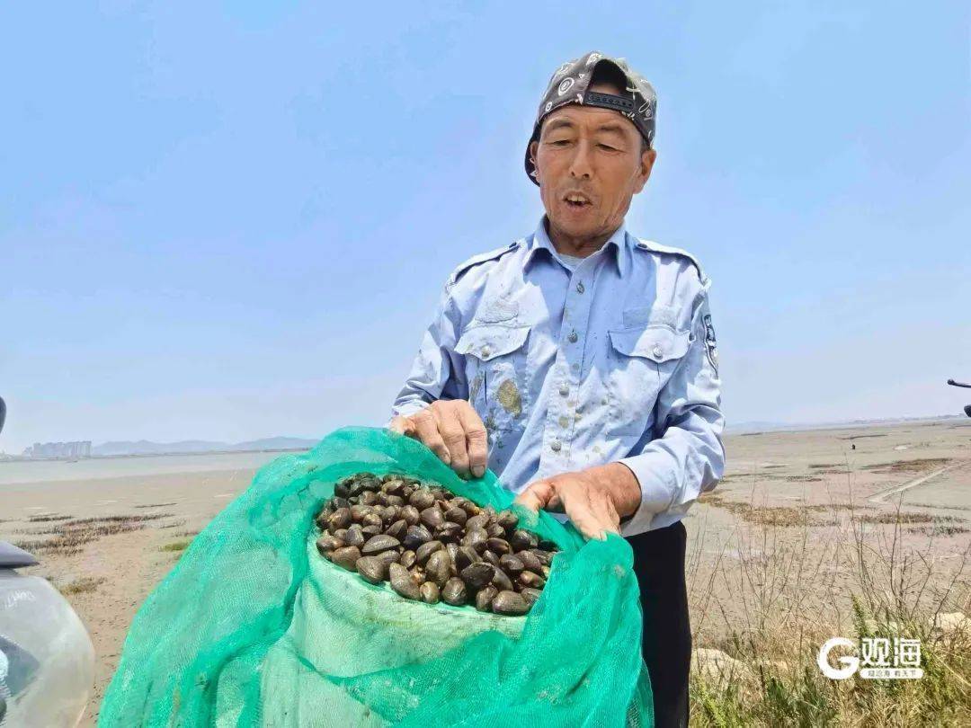 皇冠信用网代理
_正是肥的时候!每天上万斤在青岛这里上岸皇冠信用网代理
,很多人爱吃......