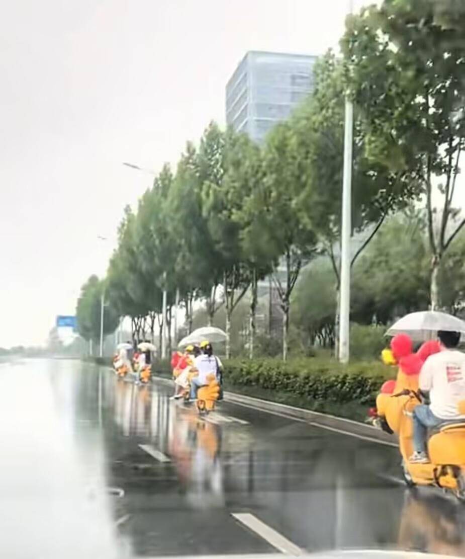 皇冠信用网代理
_合肥一对新人雨中骑“鸡动车”去结婚皇冠信用网代理
,新人:很浪漫,挺有氛围