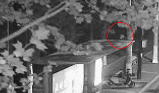 皇冠信用网登2代理申请
_看到这种人脸皇冠信用网登2代理申请
,立即警惕!已有人报案