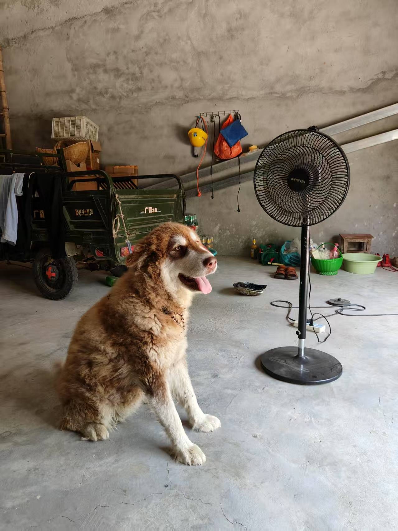 皇家马德里足球_00后女孩醉驾时速174公里撞死3人皇家马德里足球,逝者母亲:我每天都活在痛苦中