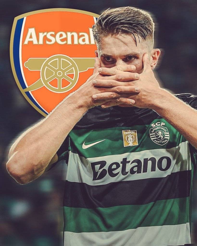 希拉尔足球_全力押注枪手罗体:约克雷斯告知尤文不会加盟希拉尔足球,他想去阿森纳