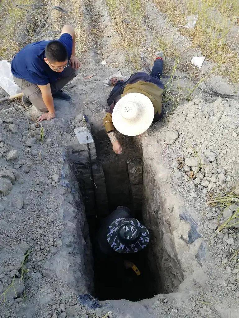 纽西兰国家篮球联赛
_重大突破纽西兰国家篮球联赛
!新疆发现近千公里“硒腰带”