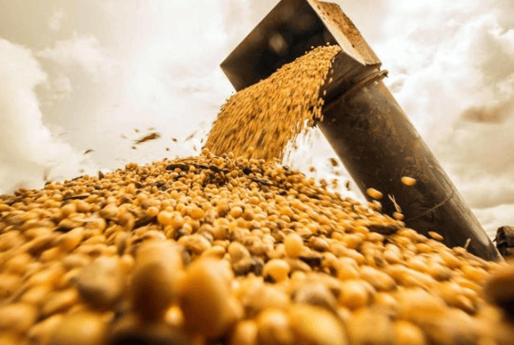 皇冠信用網_攻守易型了!中国又走了一步好棋皇冠信用網,出手签下3万吨大单,太罕见