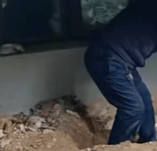 国际米兰vs富明尼斯RJ_河南长垣女子购买一楼房子在院子里挖出疑似人体骨头国际米兰vs富明尼斯RJ,警方介入!物业:多方协调中