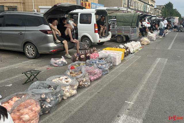 乌兹别克超级联赛_实探衡水盗版LABUBU大集:像卖菜一样摆摊卖乌兹别克超级联赛,商家称如今订单变少生意难做