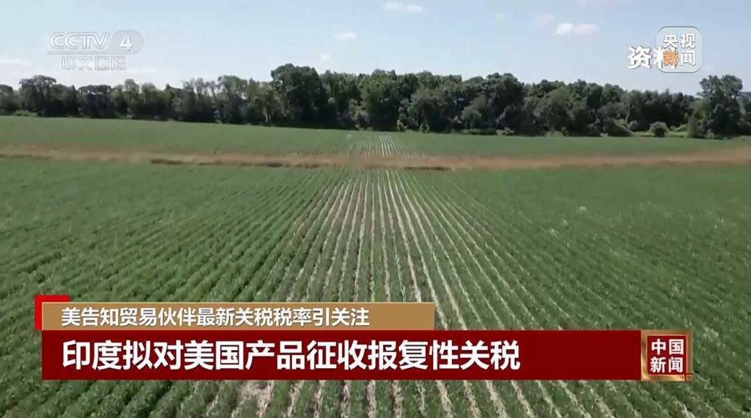 2025-2026欧洲女子联赛杯赛程积分_最高或达70%2025-2026欧洲女子联赛杯赛程积分！特朗普：预计8月1日生效