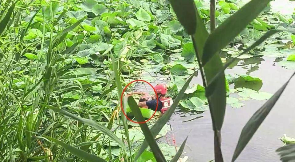 切辛纳青年队VS博洛尼亚青年队_大爷喝醉酒下河“凉快凉快”切辛纳青年队VS博洛尼亚青年队,结果发现自己不会游泳?