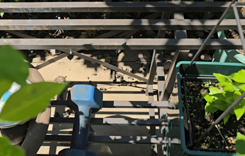 昂热VS巴黎足球会_上海一小区居民苦恼新邻居:突然搬来让人提心吊胆昂热VS巴黎足球会!不能抓不能打