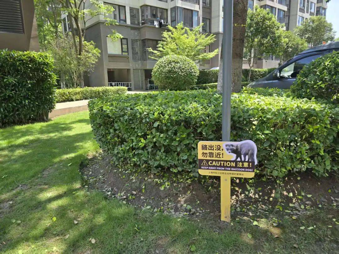 昂热VS巴黎足球会_上海一小区居民苦恼新邻居:突然搬来让人提心吊胆昂热VS巴黎足球会!不能抓不能打