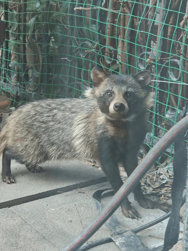 昂热VS巴黎足球会_上海一小区居民苦恼新邻居:突然搬来让人提心吊胆昂热VS巴黎足球会!不能抓不能打