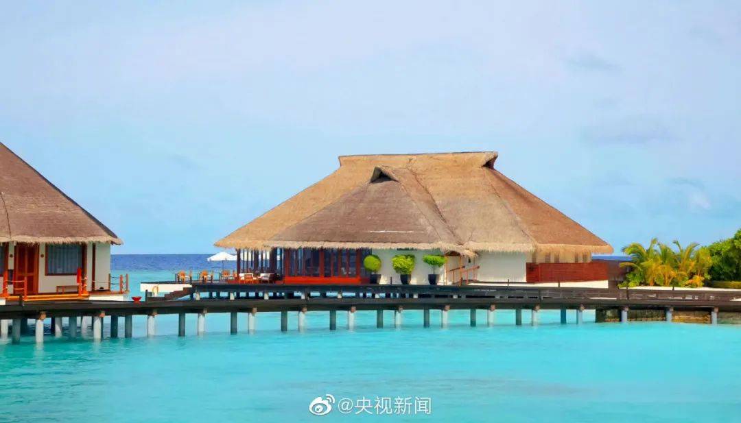 华盛顿神秘人篮球赛_杭州两家人马尔代夫旅游归来华盛顿神秘人篮球赛,三人同时发烧!紧急提醒!