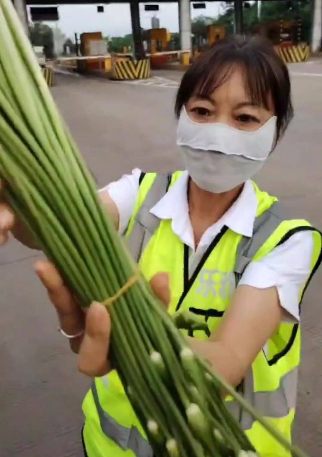 皇冠足球网
_“韭菜免收通行费韭菜薹要收费”引热议皇冠足球网
,专家呼吁:让绿通目录更“鲜活”