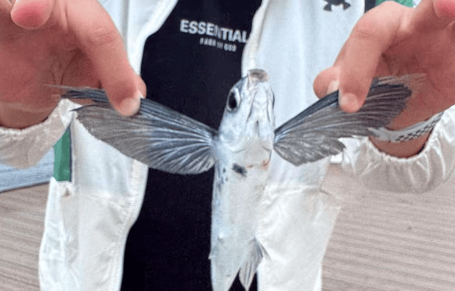 皇冠信用網如何申请
_大连东港海边皇冠信用網如何申请
,有市民钓上一条“怪鱼”,围观群众惊呆了……