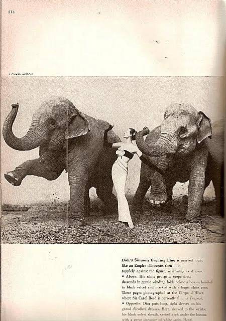 皇冠皇冠足球平台_一个日本富二代皇冠皇冠足球平台，花7000万买了个二手铂金包，内幕是……