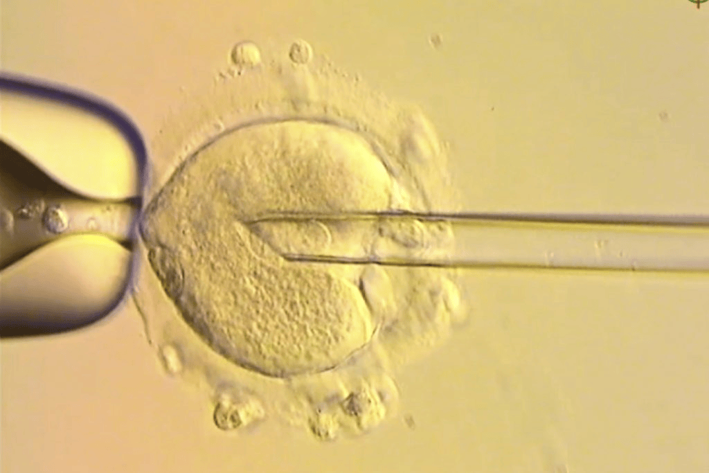 体育皇冠信用网_世界首创!英国成功结合3人基因诞生婴儿截断遗传病传播体育皇冠信用网,已有8名婴儿出生