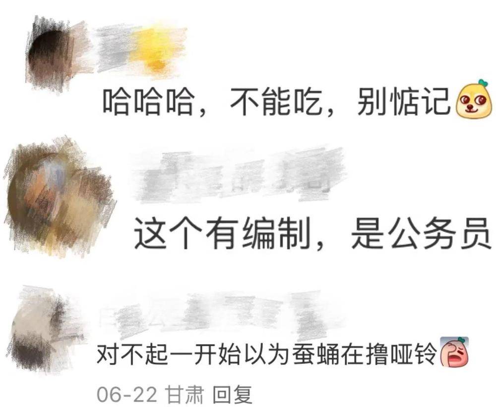 皇冠信用網平台出租_在北京路边看到这种黑色的蛹千万别动 网友:有“编制”