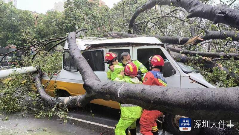皇冠信用网会员开户_强风袭击皇冠信用网会员开户,深圳已出现树木倒伏!有行人被砸伤,非必要不出门