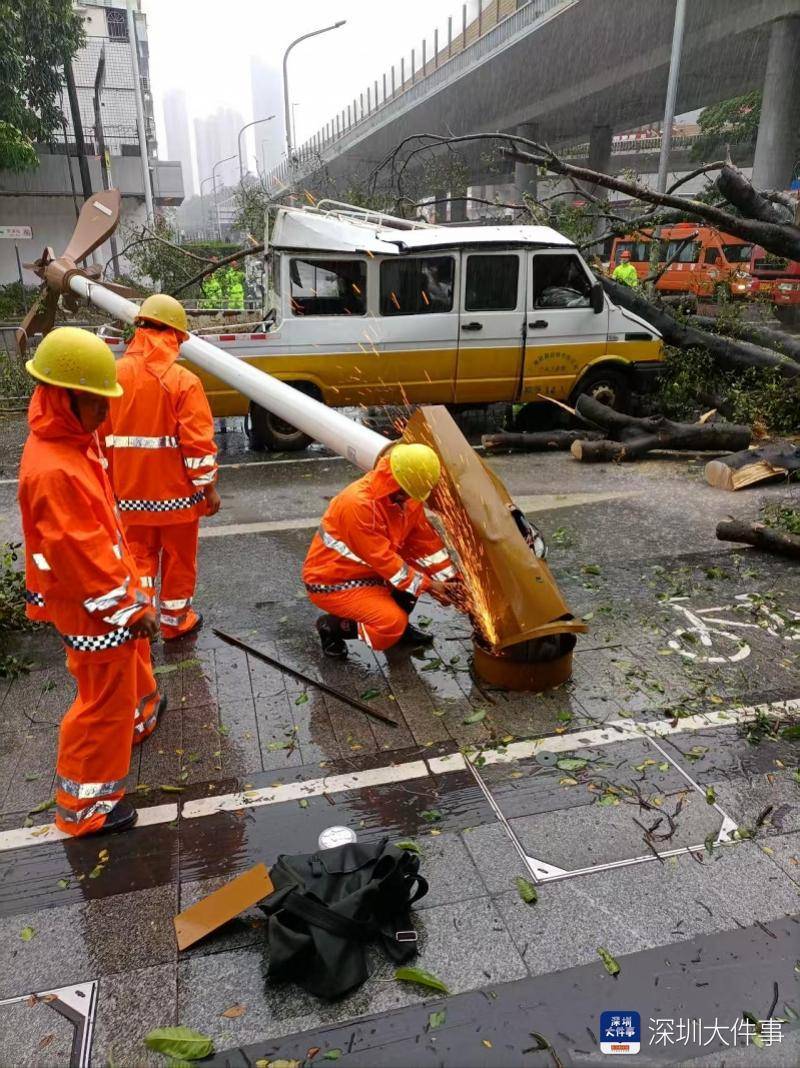 皇冠信用网会员开户_强风袭击皇冠信用网会员开户,深圳已出现树木倒伏!有行人被砸伤,非必要不出门