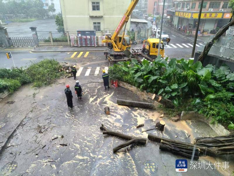 皇冠信用网会员开户_强风袭击皇冠信用网会员开户,深圳已出现树木倒伏!有行人被砸伤,非必要不出门