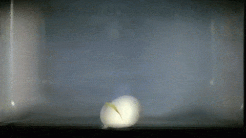 皇冠信用網在哪里开通_突然爆炸皇冠信用網在哪里开通!知名女演员自曝:痛到大哭眩晕