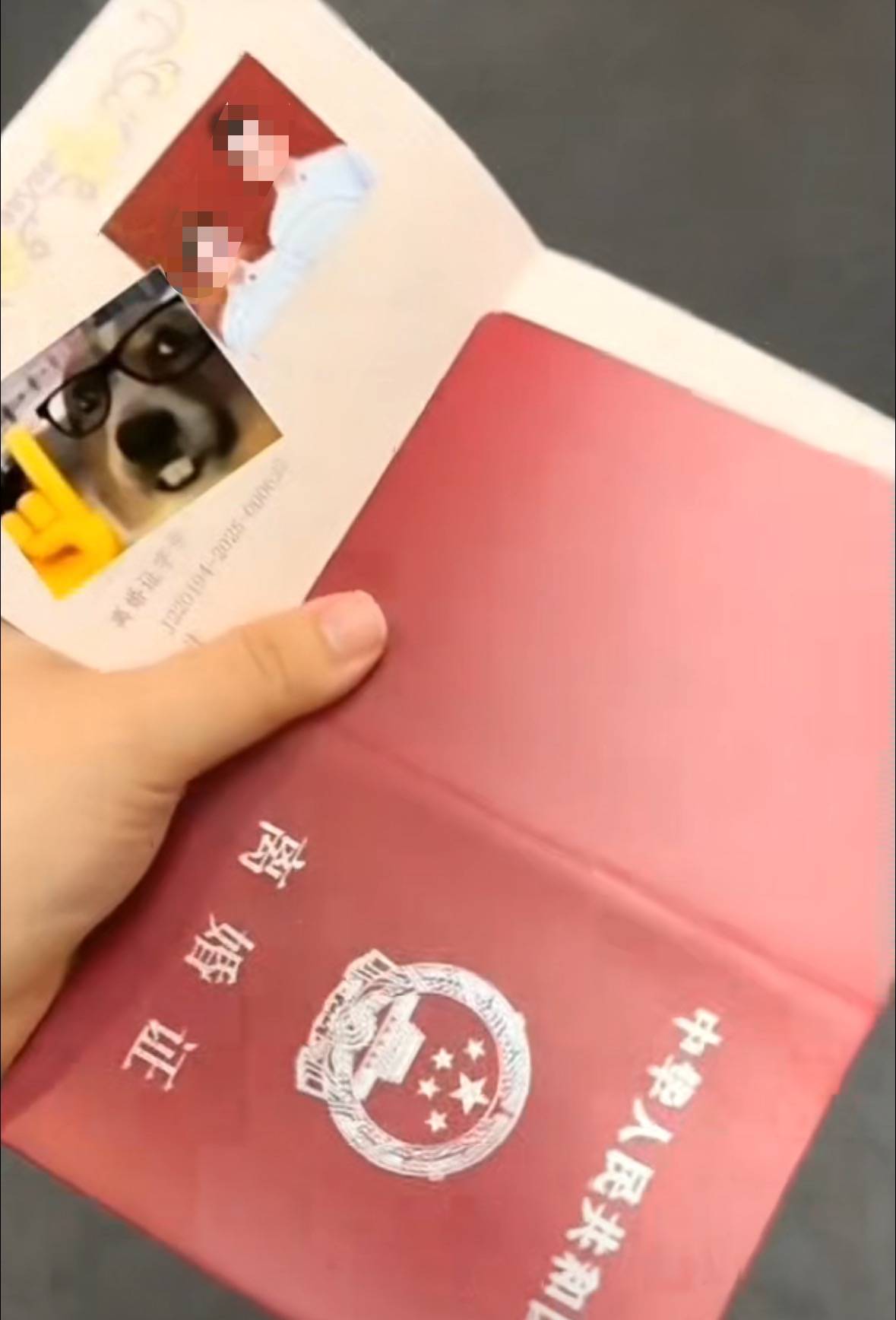 怎么开通皇冠信用網口_结婚证发成离婚证!网友调侃“第一次见合照的离婚证”怎么开通皇冠信用網口,长春一民政局:发错了,已道歉