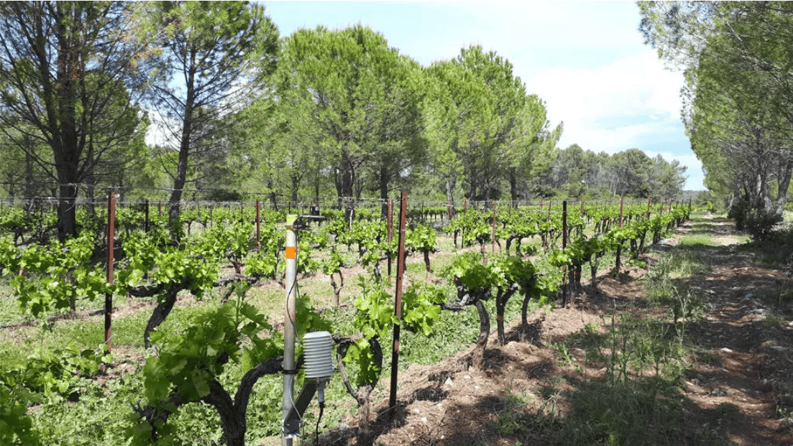 怎么申请皇冠信用网_金灿荣:欧洲太没出息了怎么申请皇冠信用网,出现了一帮“秦桧”