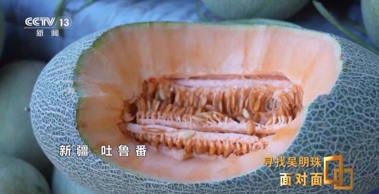 皇冠信用网怎么申请_面对面丨中国人的吃瓜自由要感谢她皇冠信用网怎么申请!吴明珠说她的一生就是结几个好瓜献给人民