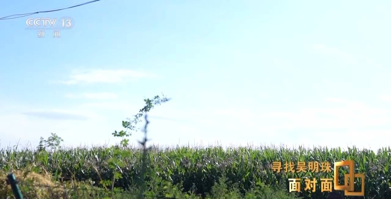 皇冠信用网怎么申请_面对面丨中国人的吃瓜自由要感谢她皇冠信用网怎么申请!吴明珠说她的一生就是结几个好瓜献给人民