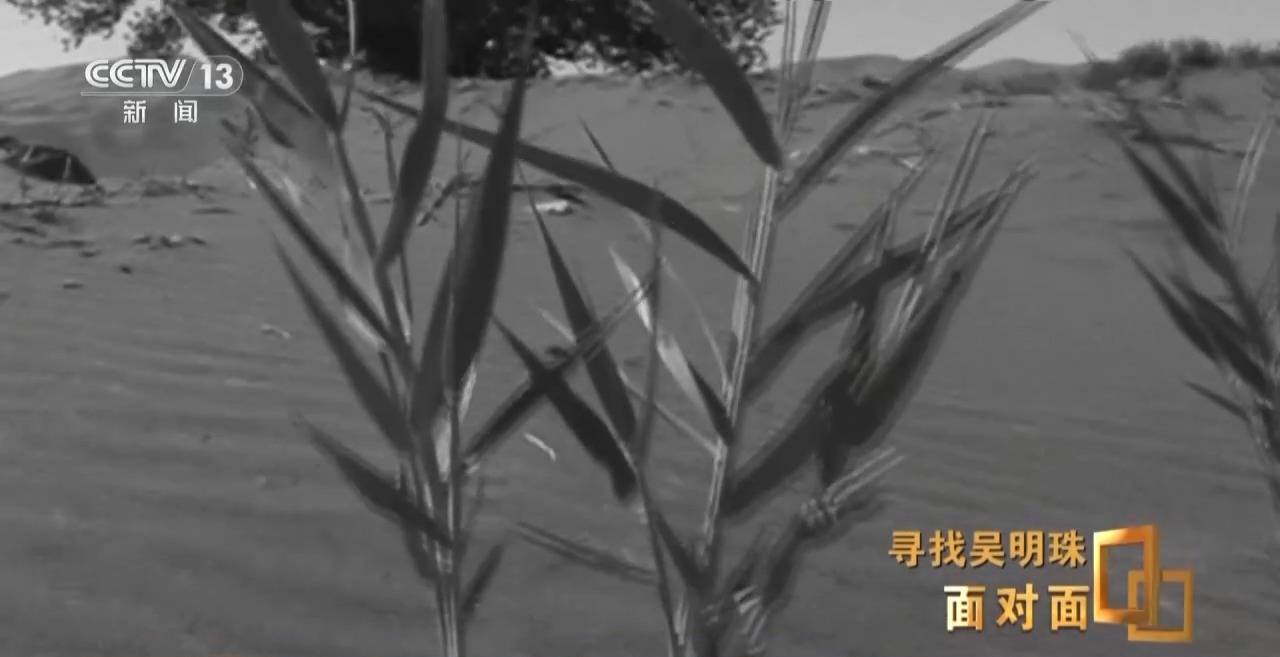 皇冠信用网怎么申请_面对面丨中国人的吃瓜自由要感谢她皇冠信用网怎么申请!吴明珠说她的一生就是结几个好瓜献给人民