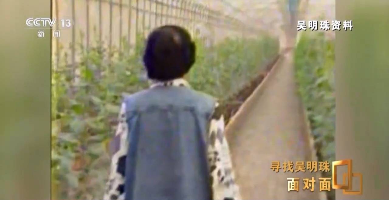 皇冠信用网怎么申请_面对面丨中国人的吃瓜自由要感谢她皇冠信用网怎么申请!吴明珠说她的一生就是结几个好瓜献给人民