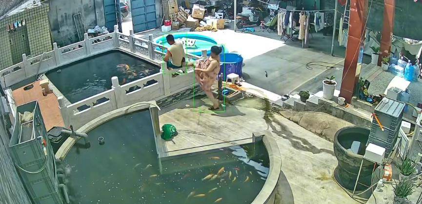 皇冠信用網怎么开户_新乡一男子喂鱼忘送娃上课被妻子踹进鱼池:妻子怀孕脾气有时候控制不住皇冠信用網怎么开户,互相道了歉