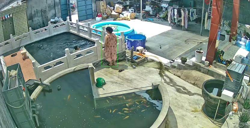 皇冠信用網怎么开户_新乡一男子喂鱼忘送娃上课被妻子踹进鱼池:妻子怀孕脾气有时候控制不住皇冠信用網怎么开户,互相道了歉