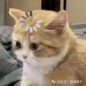 皇冠代理联系方式_离婚三年又被拍到亲密逛超市皇冠代理联系方式,他俩这是纯带娃还是真复合了?