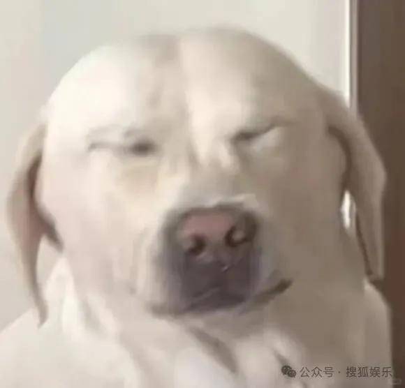 皇冠代理联系方式_离婚三年又被拍到亲密逛超市皇冠代理联系方式,他俩这是纯带娃还是真复合了?