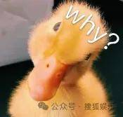 皇冠信用網在线开户_从爆红到突然消失好几年皇冠信用網在线开户，再出现已经胖到大家不敢认了？