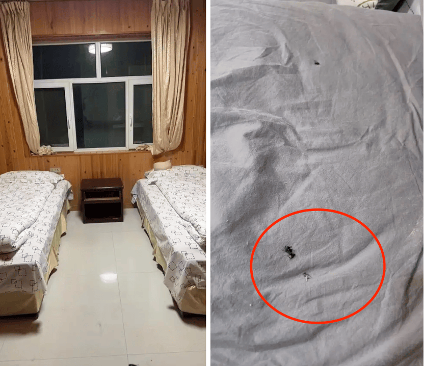 皇冠信用網_99元豪华游皇冠信用網,被骗到内裤不剩