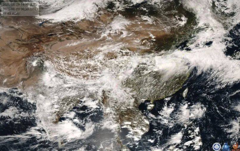 爱尔兰超级联赛_第11号台风“杨柳”突然北抬爱尔兰超级联赛!明天闵行或将下开水……