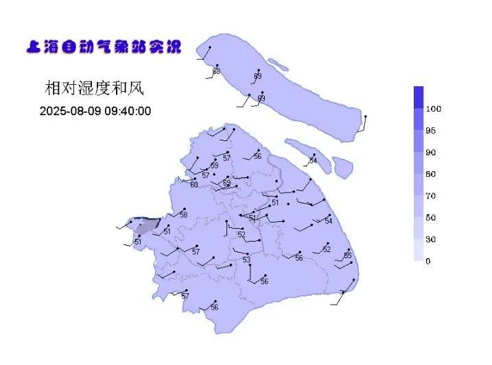 爱尔兰超级联赛_第11号台风“杨柳”突然北抬爱尔兰超级联赛!明天闵行或将下开水……