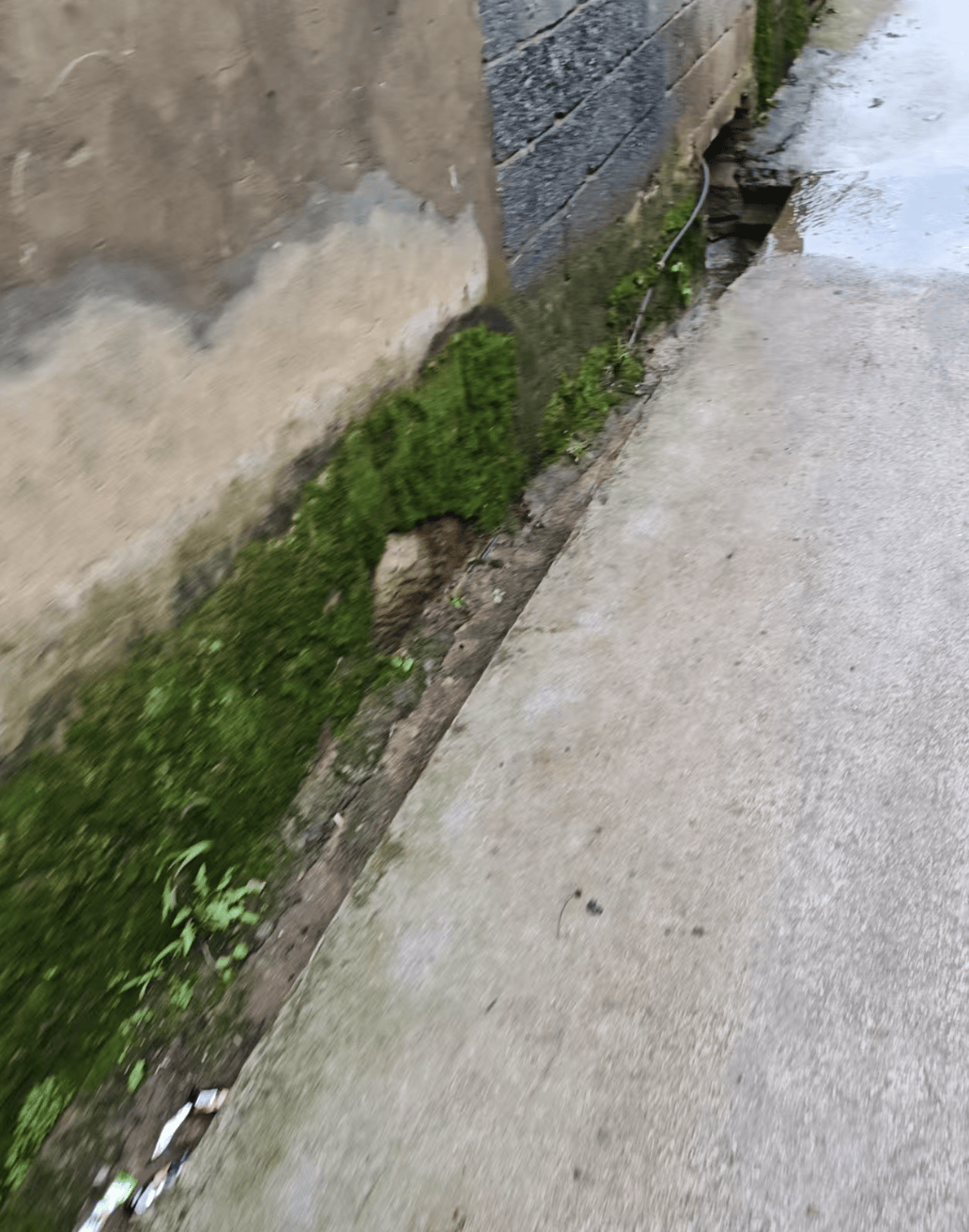 皇冠信用APP下载
_云南曲靖一女孩被同班男生送回家途中杀害皇冠信用APP下载
,当地警方介入,家属发声