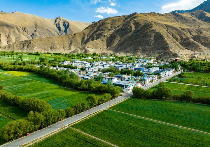 皇冠皇冠平台
_县·观察|乃东:高原沃土的产业振兴之路