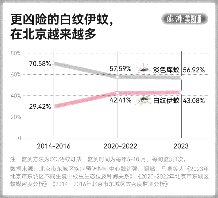皇冠信用盘占成代理_全球“最毒”的蚊子皇冠信用盘占成代理，为何批量北上