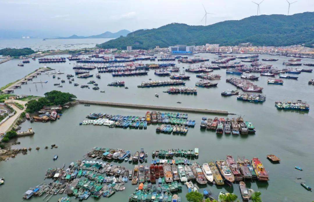 皇冠信用盘会员账号
_南海开渔皇冠信用盘会员账号
,无惧争“鲜”