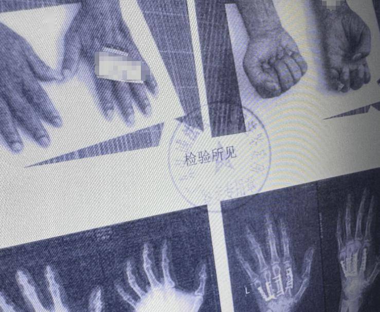 皇冠信用盘会员账号
_南海开渔皇冠信用盘会员账号
,无惧争“鲜”