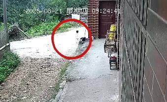 皇冠信用網登123出租
_湖南新韶突然失踪的2岁女孩平安找到皇冠信用網登123出租
,当地公安:在距离家1公里外的山林石缝中发现