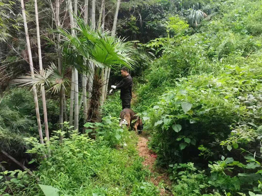 皇冠信用網登123出租
_湖南新韶突然失踪的2岁女孩平安找到皇冠信用網登123出租
,当地公安:在距离家1公里外的山林石缝中发现